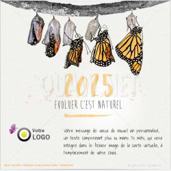 ECVN 02 - Ecard entreprise evolution