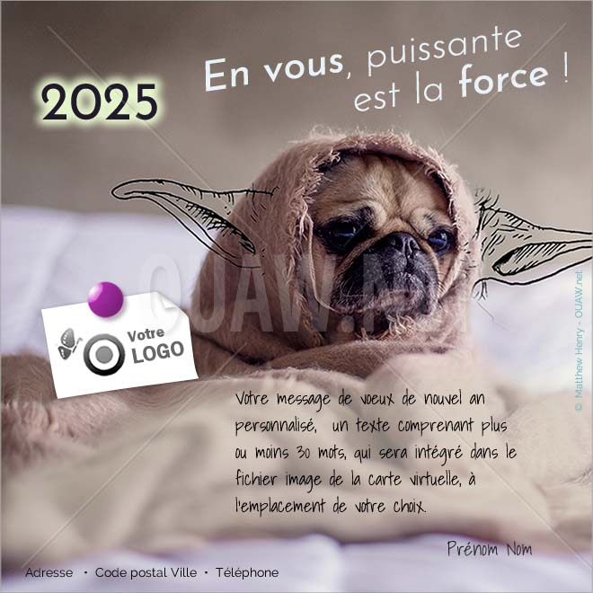 ECVN 146 - Ecard Puissante est la force