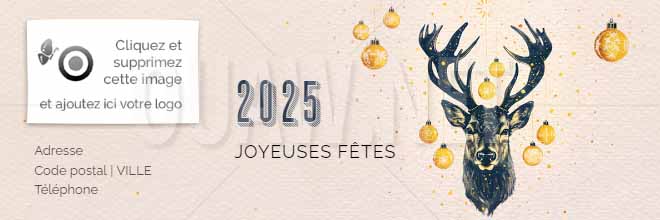 EMAIL 167 - Voeux signature mail, Renne, Joyeuses fêtes