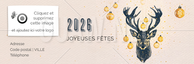 EMAIL 167 - Voeux signature mail, Renne, Joyeuses fêtes